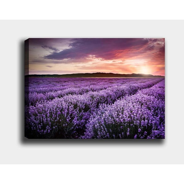 Slika 100x70 cm Lavender Field - Wallity-image-2