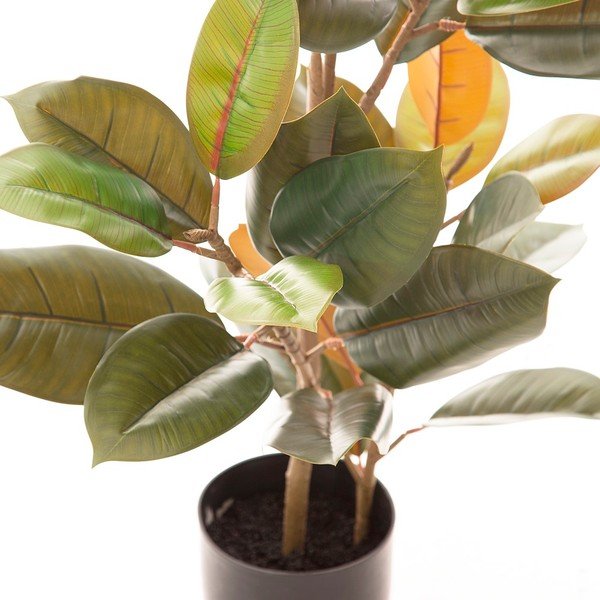 Umjetni fikus (visina 90 cm) Ficus – Ixia-image-2