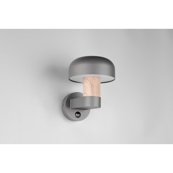 Zidna vanjska svjetiljka (visina 24,5 cm) Fraser – Trio-image-3