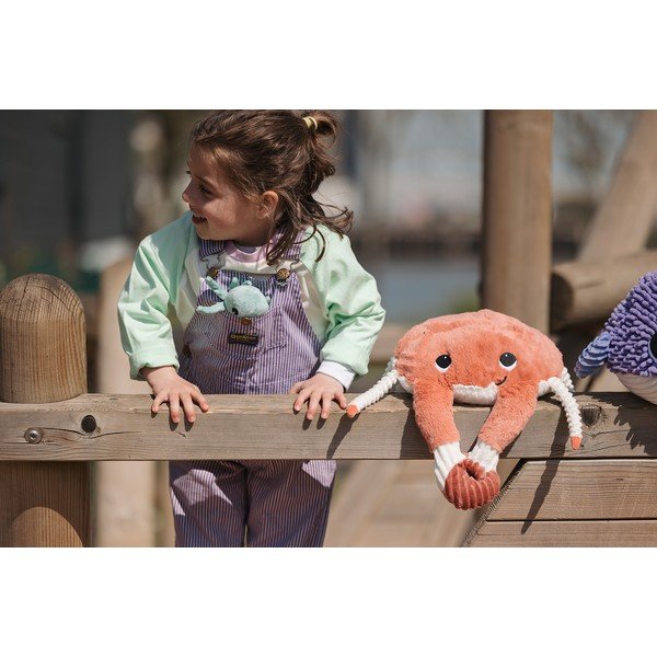 Plišane igračke u setu 2 kom Ptipotos Cassecou – Les Deglingos-image-2