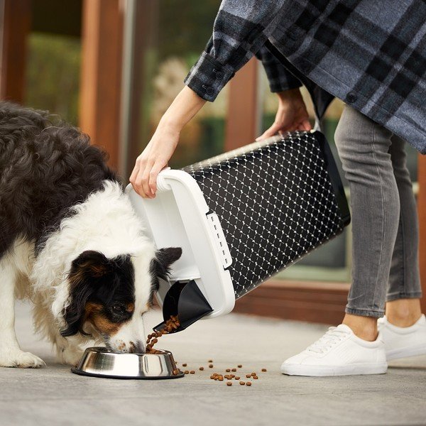 Crna kutija za granule 50 l Cody - Rotho-image-1