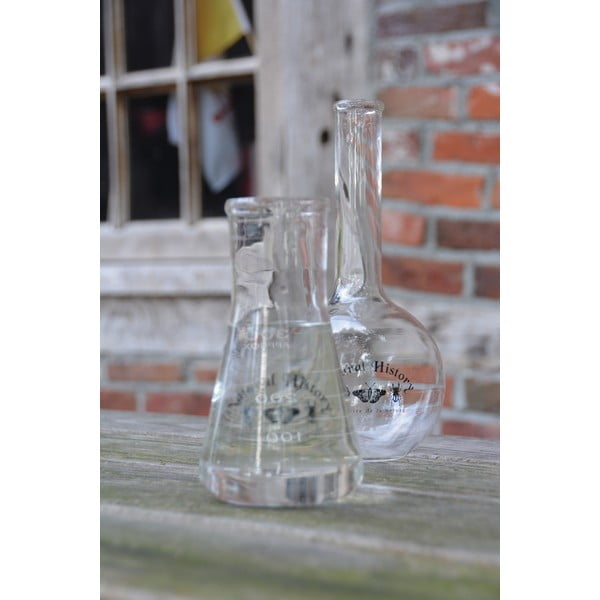 Staklena vaza (visina 23 cm) Natural History – Esschert Design-image-1