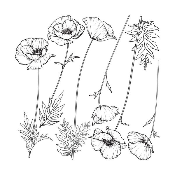 Set zidnih samoljepljivih naljepnica Ambiance Poppies-image-1