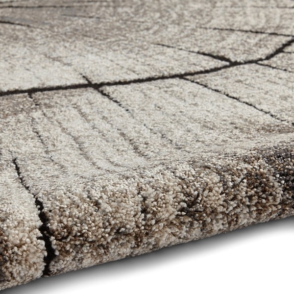 Bež tepih 230x160 cm Woodland - Think Rugs-image-2