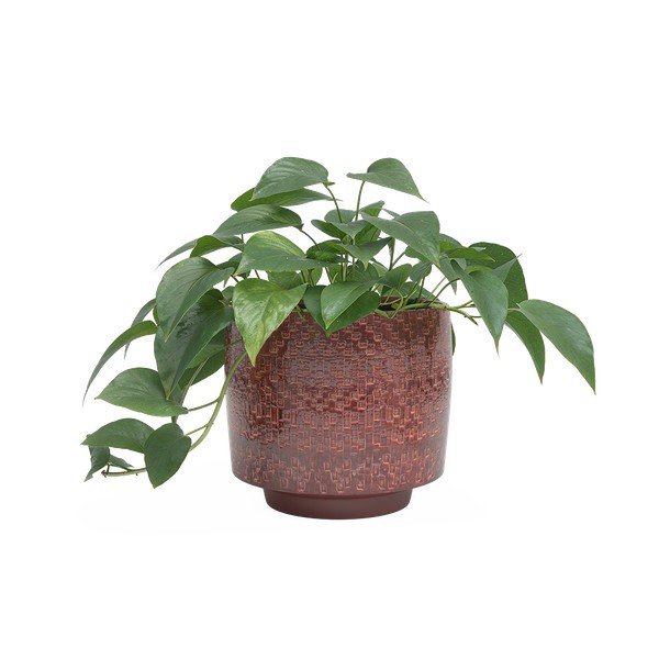 Keramička ručno rađena ukrasna tegla za cvijeće ø 21 cm Minerva – Artevasi