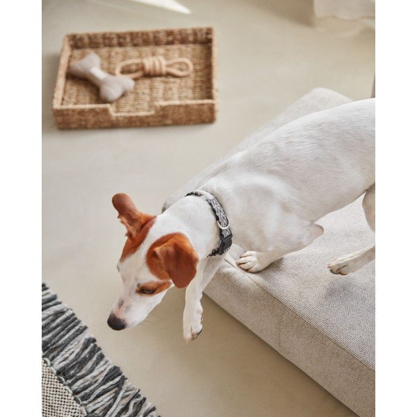 Bež krevet za pse 73x60 cm Bowie - Kave Home-image-2