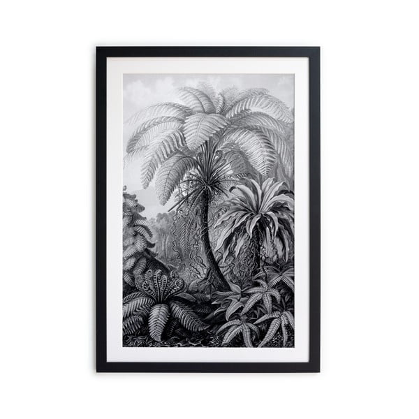 Plakat 40x60 cm Palm - Surdic