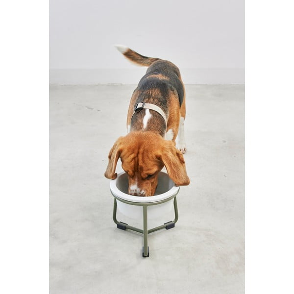 Porculanska posuda s postoljem za pse ø 20 cm Pranzo Grolive M – MiaCara-image-1