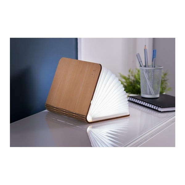 Svjetlosni ukras s USB u prirodnoj boji Booklight – Gingko-image-4