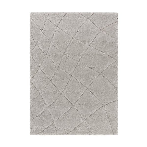Svijetlo sivi tepih 60x120 cm Molier – Universal