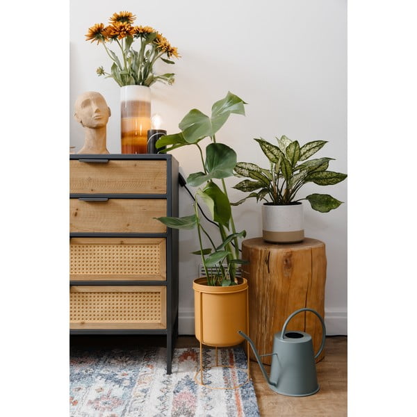 Zeleni metalni zalijevanje može za zalijevanje PT Living, visina 24 cm-image-2