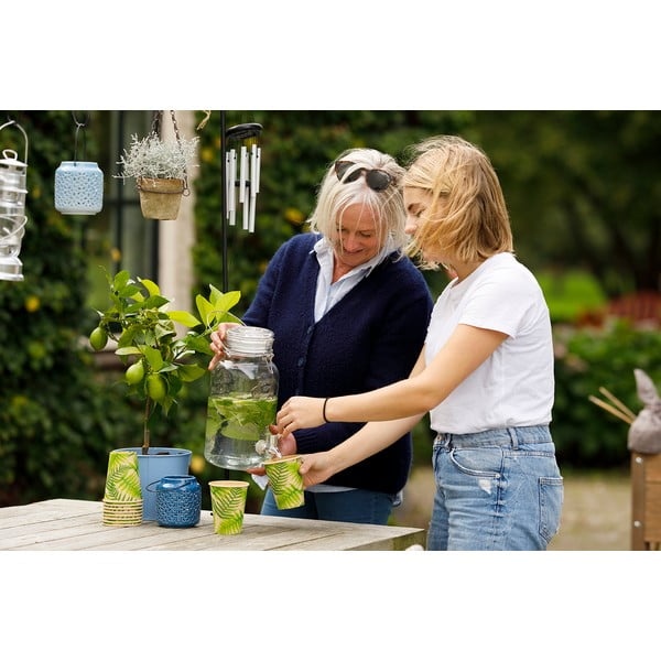 Set od 10 velikih jednokratnih čaša Esschert Design Farm-image-4