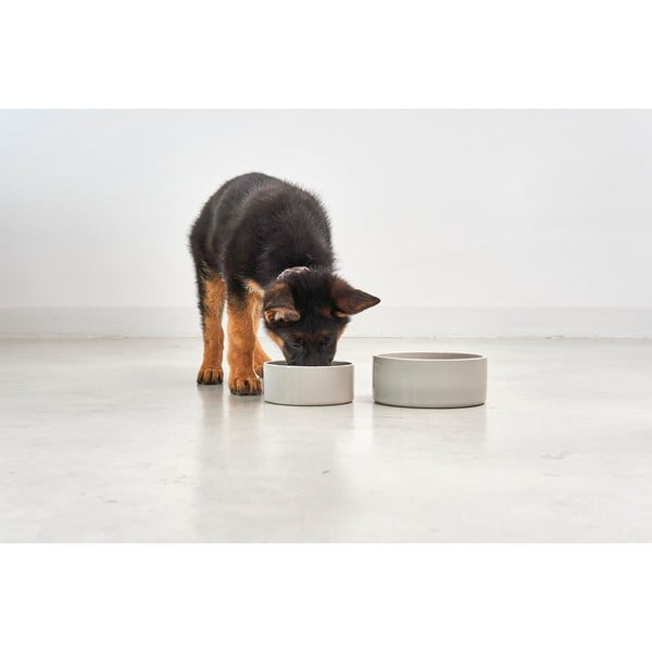Porculanska zdjela za hranu za ljubimce za pse ø 20 cm Scodella Greige M/L – MiaCara-image-1