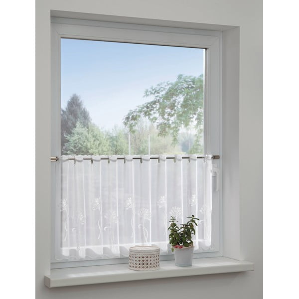 Bijela prozirna zavjesa od voila 140x48 cm Dandelion – Sehlbach-image-1