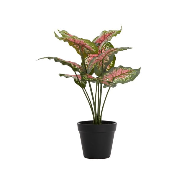Umjetna biljka (visina 40 cm) Caladium – Light & Living