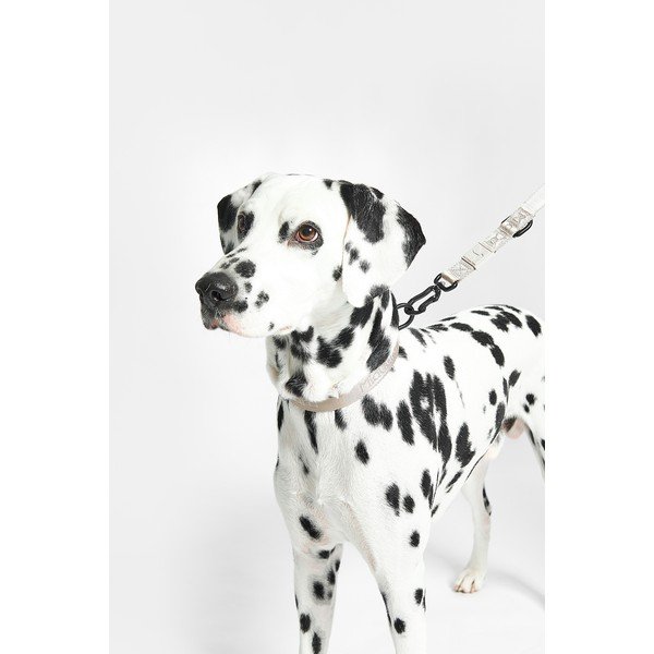 Bež ogrlica S/M dužina 32 cm Modena Greige S/SM – MiaCara-image-4