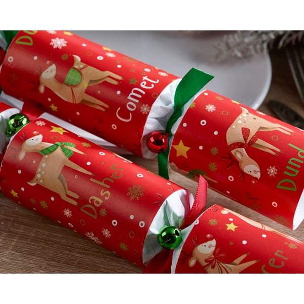 Božićni praskavci u setu 6 kom Rudolph & Friends – Robin Reed-image-2