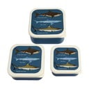 Tamno plave dječje kutije za ručak u setu 3 kom Sharks – Rex London