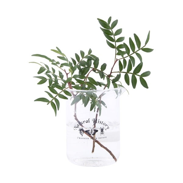 Staklena vaza (visina 12 cm) Natural History – Esschert Design-image-1