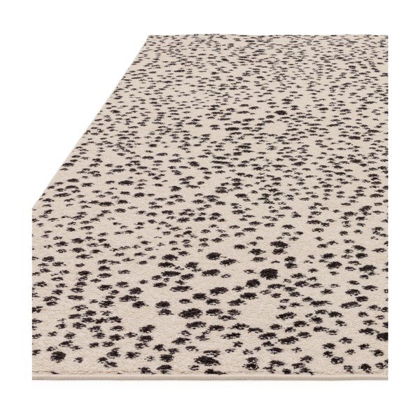 Crno-bijeli tepih 160x230 cm Muse – Asiatic Carpets-image-4