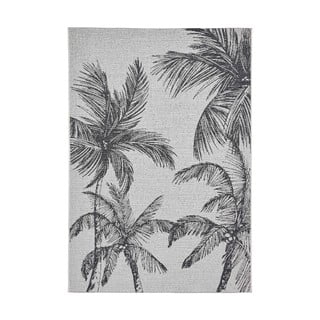 Crni/krem vanjski tepih 120x170 cm Miami – Think Rugs