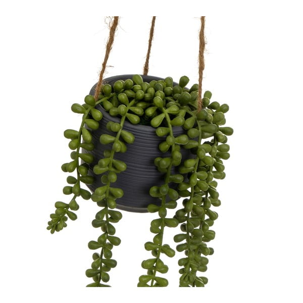 Umjetna biljka (visina 37 cm) Senecio – Casa Selección-image-1