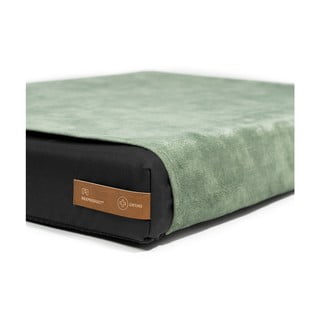 Svijetlo zelena navlaka za krevetić za pse 50x40 cm Ori S – Rexproduct