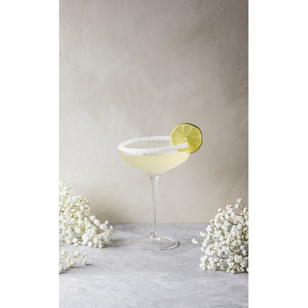 Čaša za šampanjac Eva Solo Coupe, 200 ml-image-3