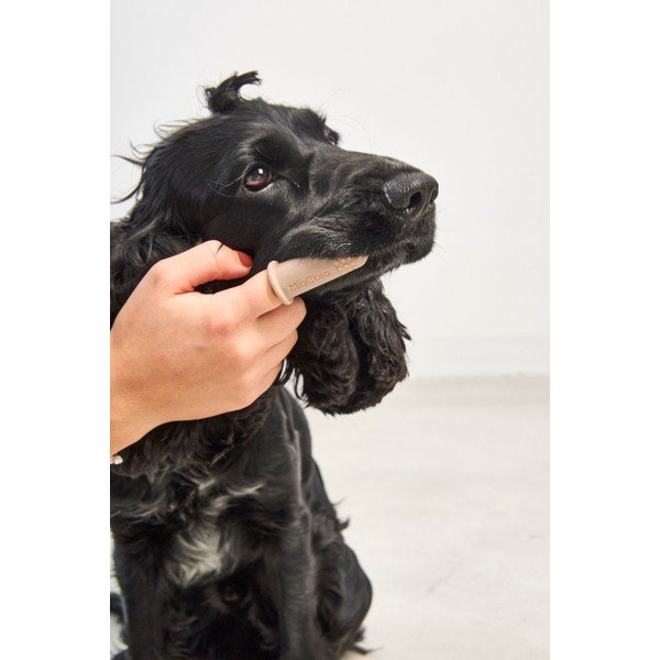 Četkice za kućne ljubimce u setu Dito – MiaCara-image-1