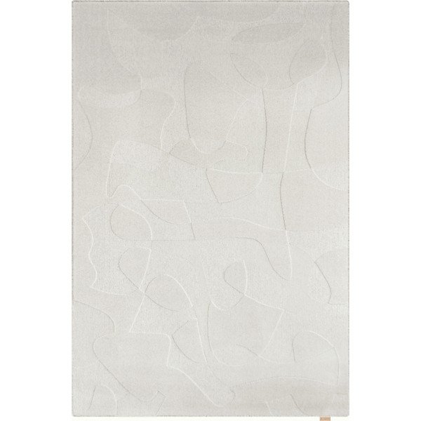 Svijetlo sivi vunen tepih 200x300 cm Morphic Botanica – Agnella