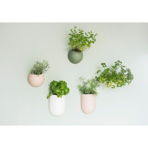 Svjetloružičasti zidni keramička tegla za cvijeće PT LIVING Oval-image-1