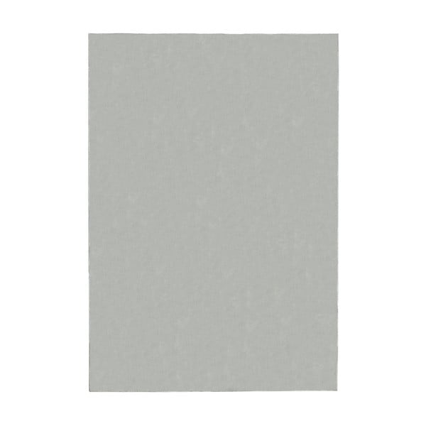 Svijetlo sivi tepih 200x290 cm – Flair Rugs