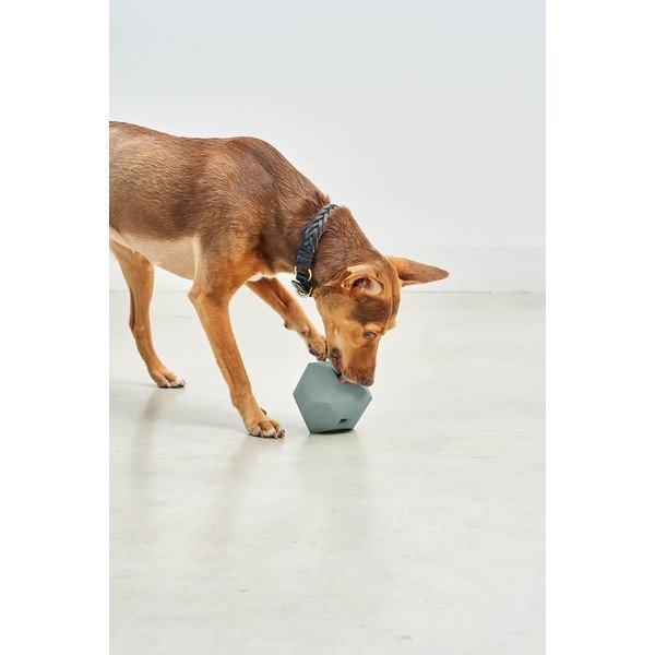 Igračka za psa Dado Eucalyptus – MiaCara-image-1