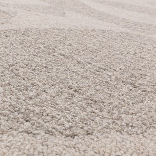 Krem ručno rađen vuneni tepih 160x230 cm Loxley – Asiatic Carpets