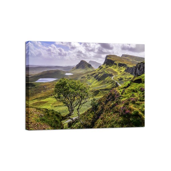 Slika Styler Canvas Scotland Nature, 85 x 113 cm