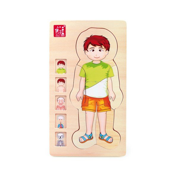 Drvena igračka Legler Anatomy Boy-image-1