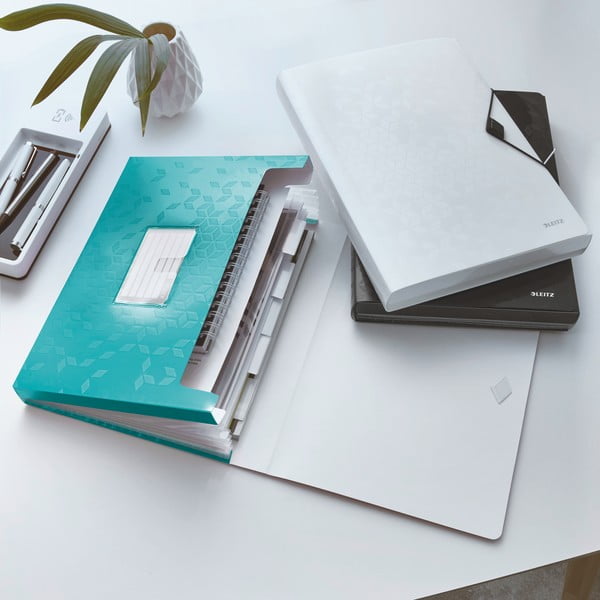 Plastičan uredski organizator za dokumente WOW – Leitz-image-1