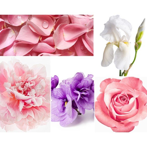 Stick difuzor Privé Home Rose Pivoine, 200 ml-image-1