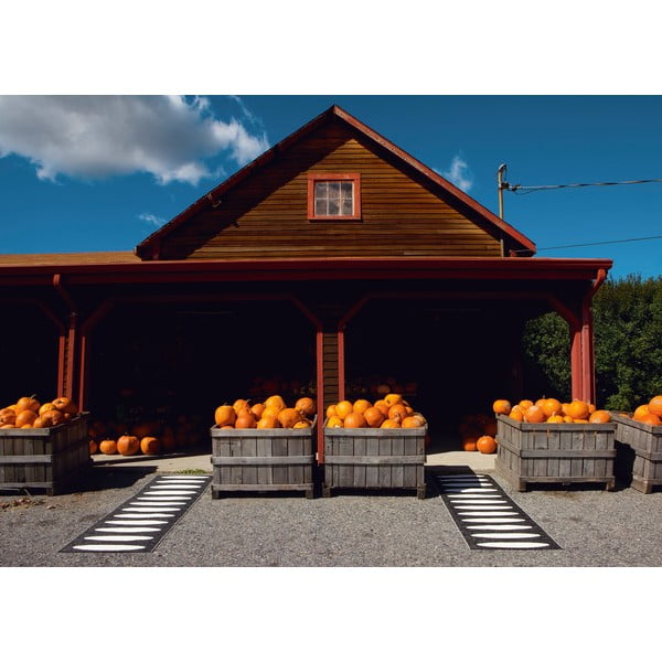 Crna unutarnja i vanjska staza 70x300 cm Ella Black – Pappelina-image-3