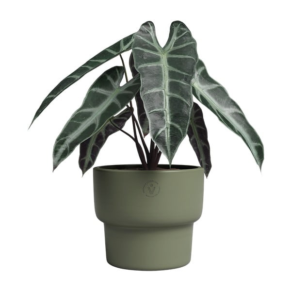 Keramička ručno rađena tegla za cvijeće ø 17 cm Echo – Artevasi-image-2