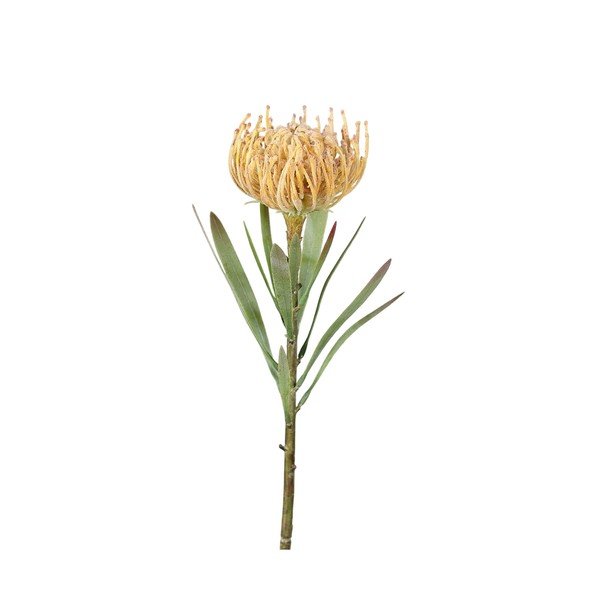Umjetna biljka (visina 43 cm) Protea – Ego Dekor