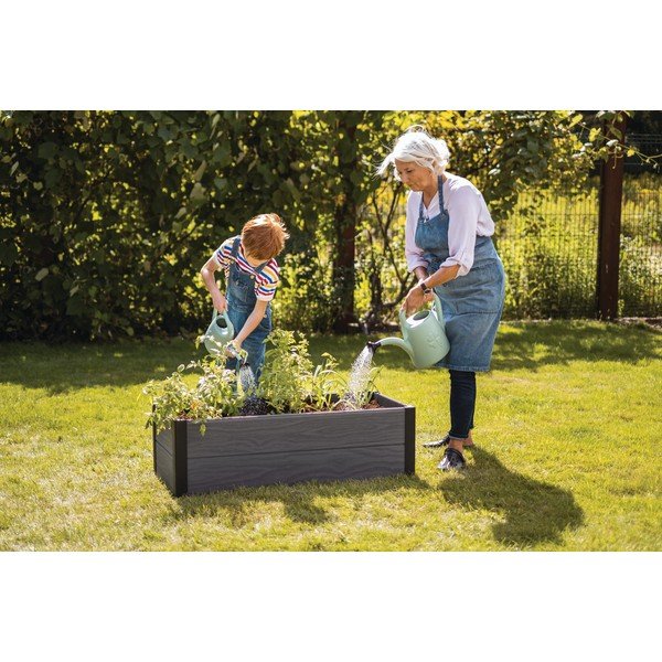 Visoka gredica za sadnju Maple – Keter-image-1