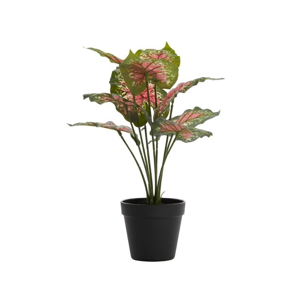 Umjetna biljka (visina 40 cm) Caladium – Light & Living-image-1