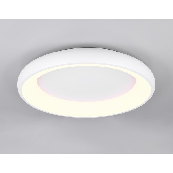 Bijela LED stropna svjetiljka s mogućnosti zatamnjivanja Cardona – Trio-image-1