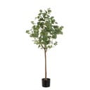 Umjetna biljka Eucalyptus – Casa Selección