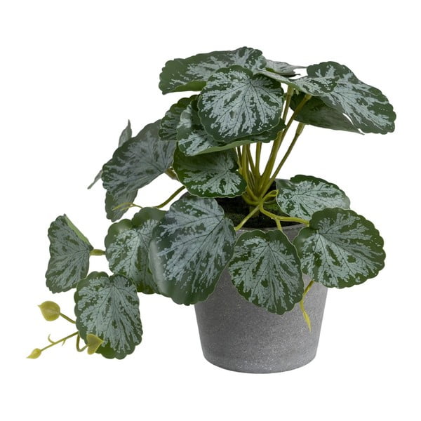 Umjetna biljka (visina 21,5 cm) Saxifraga – Ixia