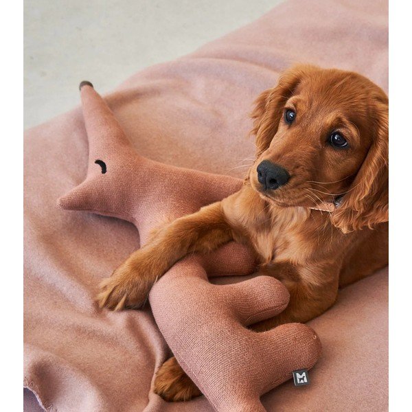 Igračka za psa Bosco Rabbit – MiaCara-image-3