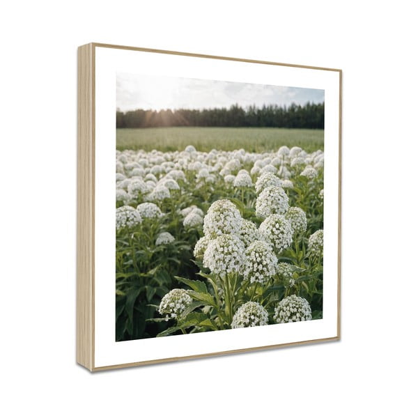 Slike u setu 4 kom 30x30 cm Sunrise Hike – knor-image-4