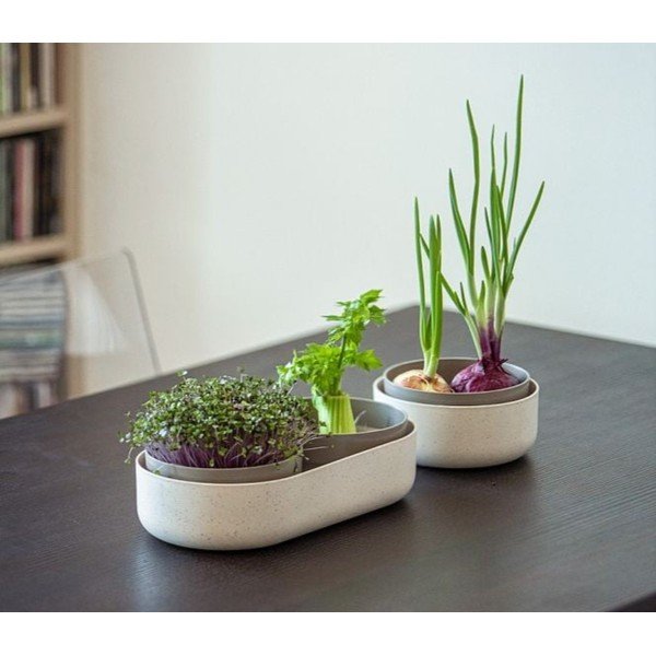 Plastična posuda za klice Microgreens + Regrow – Plastia-image-1