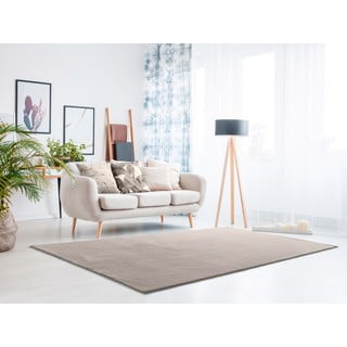 Svijetlo sivi tepih 200x290 cm Loft - Universal